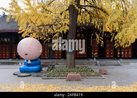 Chengdu, Chine - 15 août, 2015 -La Daci Temple à l'heure d'hiver lorsque le gingko feuilles deviennent jaune, dans le centre-ville de Chengdu, province du Sichuan, Chine Banque D'Images