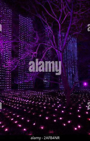 'Un' cascade de lumières et beaucoup d'arbres éclairés au cours de l'affichage à l'éclairage de Noël Kew Kew Gardens, London, UK Banque D'Images