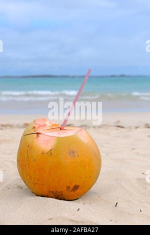 Un Trinkhalm Kokosnuss mit einem tropischen steht Strand Banque D'Images
