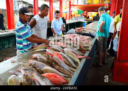 Frisch gefangene Fische zum Verkauf, Fischmarkt Sir Selwyn Selwyn-Clarke im Markt, Victoria, île de Mahé, Seychellen Frisch gefangene SIF Banque D'Images