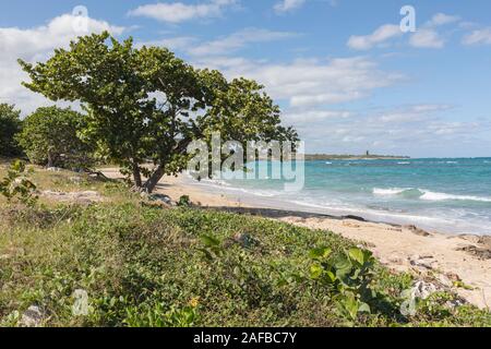 Jibacoa, Mayabeque, Santa Cruz del Norte, de Cuba, de l'Amérique du Nord Banque D'Images