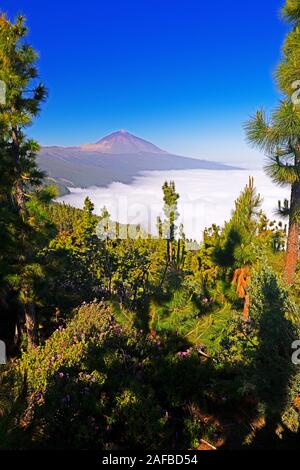 Vulkan Pico del Teide, Teide-Nationalpark, Parque Nacional de las Cañadas del Teide, Teneriffa, Kanarische Inseln, Spanien Banque D'Images