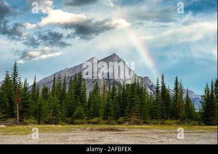 Le mont Rundle de pins et arc-en-ciel dans le ciel bleu au camping du parc provincial de Banque D'Images