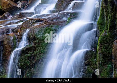 Skakalo cascade dans les forêts de la Transcarpathie. flux rapide de l'eau coule vers le bas les énormes rochers. l'eau claire de la nature des Carpates au printemps. lo Banque D'Images