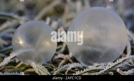 Deux bulles de savon gel transparent se trouvent côte à côte sur l'herbe gelée en hiver Banque D'Images