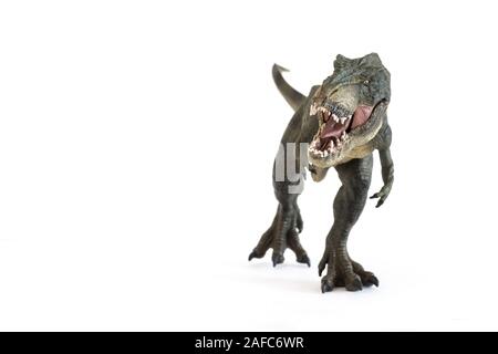 Portrait d'un tyrannosaurus rex avec la bouche ouverte isolé sur fond blanc Banque D'Images