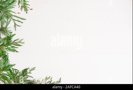 Composition de Noël avec des branches d'un conifère. La forme pour le texte de l'année nouvelle bannière sur un fond de bois blanc. Collage avec Banque D'Images