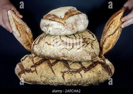 Trois Loafs (ou des miches de pain au levain français), ainsi qu'appelé pain de campagne, empilés et tenue par les mains sur un fond noir. Pain de Campagne est un Banque D'Images