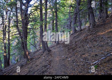 Butterfield canyon chemin de randonnée sur la plage le long de l'Oquirrh Wasatch Front Rocheuses, par Kennecott mine de cuivre de Rio Tinto, Tooele et sel Banque D'Images