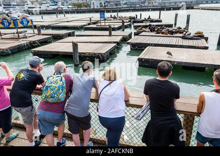 Beaucoup de touristes à regarder les lions de mer ou vous détendre, bronzer et joints d'aboyer sur un quai de la Fisherman's Wharf Pier 39 de San Francisco, Calif. Banque D'Images