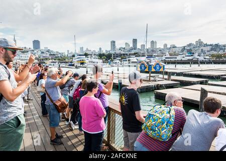 Beaucoup de touristes à regarder les lions de mer ou vous détendre, bronzer et joints d'aboyer sur un quai de la Fisherman's Wharf Pier 39 de San Francisco, Calif. Banque D'Images