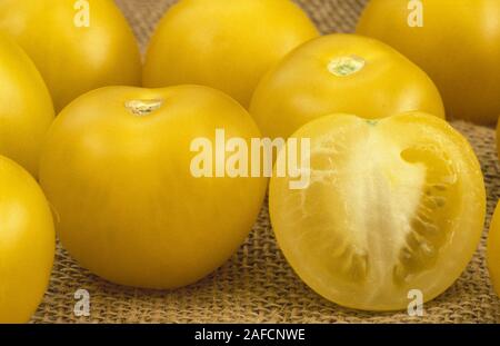 Les tomates jaunes récoltés (Solanum lycopersicum, anciennement Lycopersicon lycopersicum). Ensemble et moitié fruits sur hesian. Banque D'Images