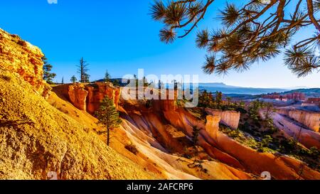 Lever du soleil sur les cheminées de couleur vermillon le long du sentier Navajo à Bryce Canyon National Park, Utah, United States Banque D'Images