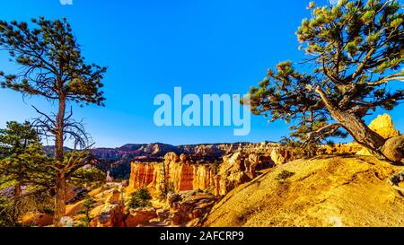 Lever du soleil sur les cheminées de couleur vermillon le long du sentier Navajo à Bryce Canyon National Park, Utah, United States Banque D'Images