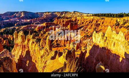 Lever du soleil sur les cheminées de couleur vermillon le long du sentier Navajo à Bryce Canyon National Park, Utah, United States Banque D'Images