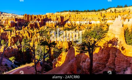 Lever du soleil sur les cheminées de couleur vermillon le long du sentier Navajo à Bryce Canyon National Park, Utah, United States Banque D'Images