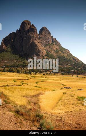 L'Éthiopie, du Tigré, Adwa, Gendgbta, champs agricoles au moment de la récolte entre paysage volcanique spectaculaire à côté de l'autoroute à Adigrat Axum Banque D'Images