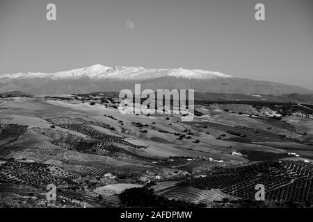 Le noir et blanc lever de la Sierra Nevada en Andalousie, Espagne Banque D'Images