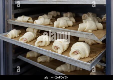 Petits pains en matières premières, du cabinet d'épreuvage boulangerie commerciale Banque D'Images