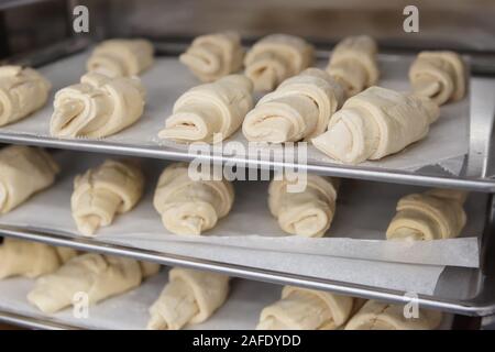 Les croissants et petits pains surgelés pâte sur les plaques en chambre d'épreuvage, boulangerie commerciale Banque D'Images