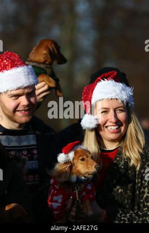 Les chiens et leurs propriétaires prenant part à un chien saucisse marche festive à Hyde Park, Londres. Banque D'Images