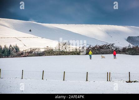 Whitewell, Clitheroe, Lancashire, Royaume-Uni. Le 15 décembre 2019. Les promeneurs de chiens profiter de la neige à l'effritement, Preston, Lancashire. Crédit : John Eveson/Alamy Live News Banque D'Images