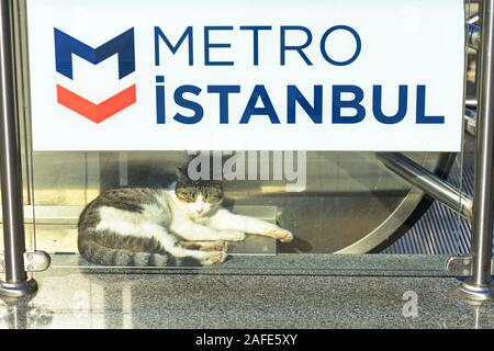 Istanbul, Turquie. Station de métro à Üsküdar avec sleeping cat street Banque D'Images