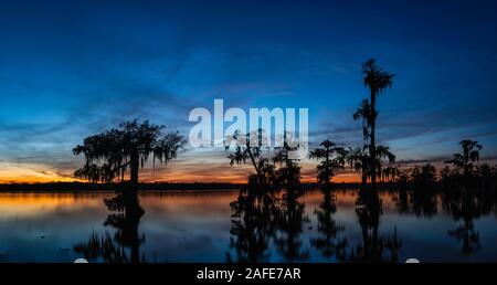 Image panoramique de la Louisiane coloré coucher de soleil avec des cyprès dans l'eau avec la scène reflète dans l'eau Banque D'Images