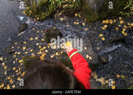 Enfant tenant la feuille jaune. Banque D'Images