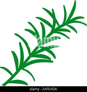 Rosemary Branch. Isolé sur fond blanc. Hand drawn vector illustration. Style rétro. Illustration de Vecteur