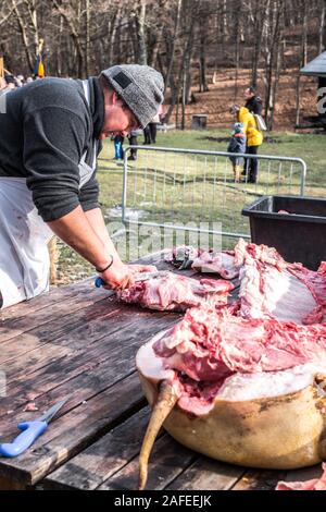 Sibiu, Roumanie - 14 décembre 2019. Abattage bouchers un cochon avec la tradition roumaine avant Noël Banque D'Images