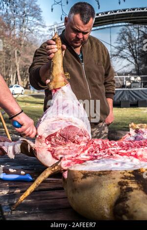 Sibiu, Roumanie - 14 décembre 2019. Abattage bouchers un cochon avec la tradition roumaine avant Noël Banque D'Images