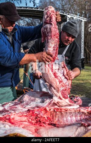 Sibiu, Roumanie - 14 décembre 2019. Abattage bouchers un cochon avec la tradition roumaine avant Noël Banque D'Images