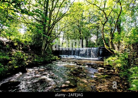 Cascades en honley Banque D'Images