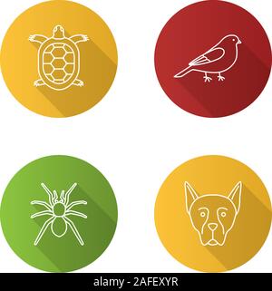 Télévision animaux long shadow linéaire icons set. Tortue, Canaries, spider, Dobermann. Contour Vector illustration Illustration de Vecteur