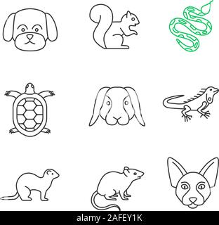 Animaux domestiques icons set linéaire. Maltese dog, écureuil, python, tortue, lapin, iguane, furet, souris, Sphynx canadien. Fine ligne contour des symboles. Ve isolés Illustration de Vecteur