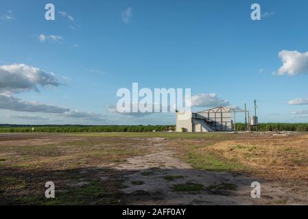 Orange Walk, Belize - 16 novembre, 2019. Orange à distance de l'aéroport à pied avec une plantation de canne à sucre dans le contexte où les touristes sont pris en charge par l Banque D'Images