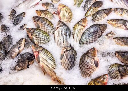 Les matières du poisson frais sur la glace dans un supermarché. Le poisson cru à la vente. Boutique de fruits de mer Banque D'Images