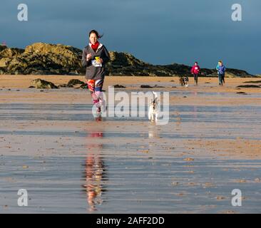 Woman running with Jack Russell chien sur beach, North Berwick, East Lothian, Scotland, UK Banque D'Images