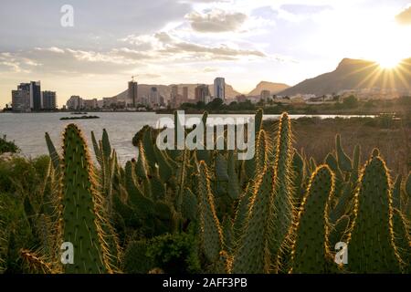 Las Salinas de Calpe Salt Flats au coucher du soleil avec des gratte-ciel et la langue de vache de figuiers de Barbarie (Opuntia engelmannii) (Calp, Marina Alta, Alicante, Espagne) Banque D'Images