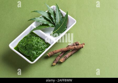 Les feuilles de neem médicinales et coller les feuilles avec des brindilles sur fond vert Banque D'Images