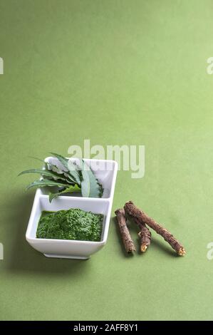 Les feuilles de neem médicinales et coller les feuilles avec des brindilles sur fond vert Banque D'Images