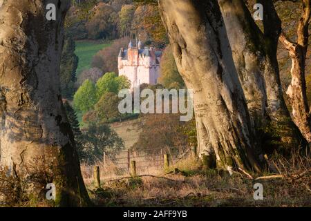 Craigievar Castle en Ecosse sur un matin d'automne ensoleillé vu d'une région de hêtre (Fagus sylvatica) Banque D'Images