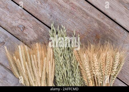 Différents types de céréales sur fond de bois. Banque D'Images