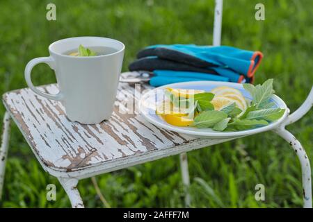 Chaise avec jardin pruner, gants, tasse de thé au citron menthe de fines herbes Banque D'Images