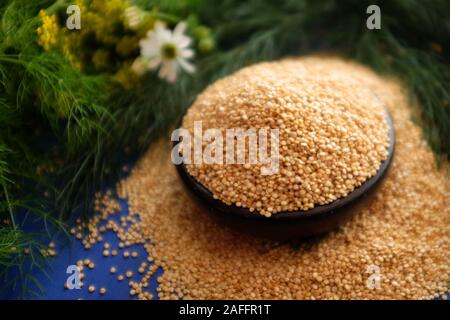 Le quinoa, quinoa ou du quinoa, 'Chenopodium quinua'. C'est une semence, mais il est connu et considéré comme une partie intégrante du grain, cultivé principalement dans la cordillère des Andes Banque D'Images