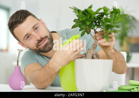 Un homme d'arroser les feuilles bonsai Banque D'Images