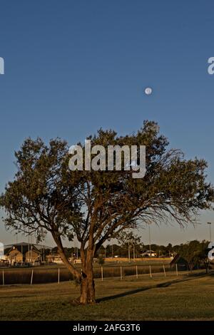 Moon, Lindsey City Park, Canyon, Texas Banque D'Images