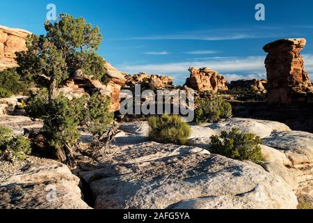 Vue depuis le quartier des aiguilles à Canyonlands National Park Banque D'Images