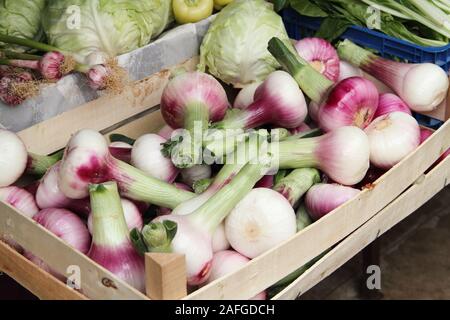 Oignons poireaux frais au marché hebdomadaire Banque D'Images